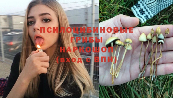 первитин Инта