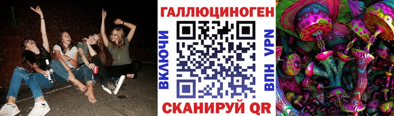 Галлюциногенные грибы Psilocybine cubensis  Купить где  Балабаново 